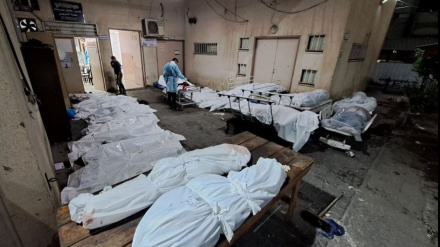 Мученическая смерть десятков палестинцев в Газе на фоне продолжающихся атак сионистской армии