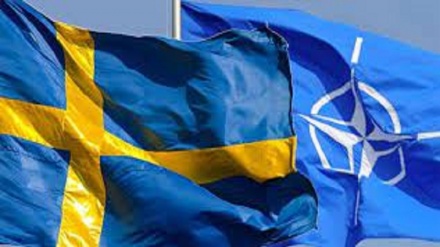 L'opposizione del popolo turco all'adesione della Svezia alla NATO