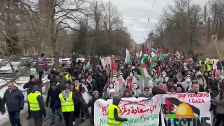 丹麦人民举行示威活动以谴责对巴勒斯坦人进行的种族灭绝