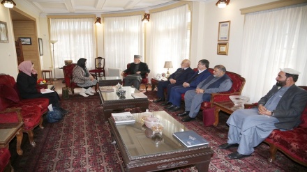 حامد کرزی با نماینده خاص سرمنشی سازمان ملل در کابل دیدار کرد