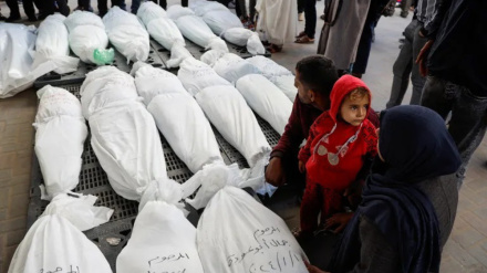 Gaza officials slam Israel's deliberate use of 'genocide, starvation'