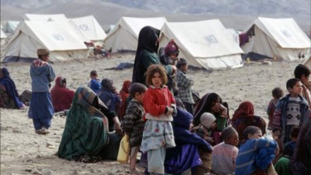 سازمان ملل برای جلوگیری از فاجعه انسانی در افغانستان به بودجه بیشتری نیاز دارد 