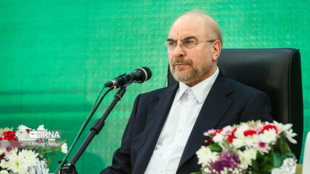 Dringlichkeitssitzung des Palästina-Komitees der Organisation für Islamische Zusammenarbeit in Teheran