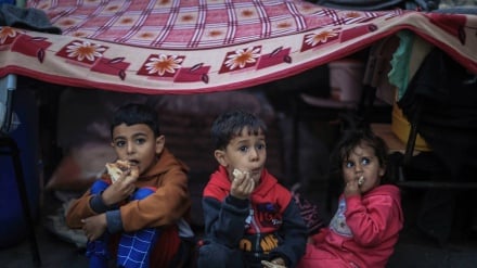 UNRWA: Shumë nga njerëzit e zhvendosur të Gazës flenë në rrugë