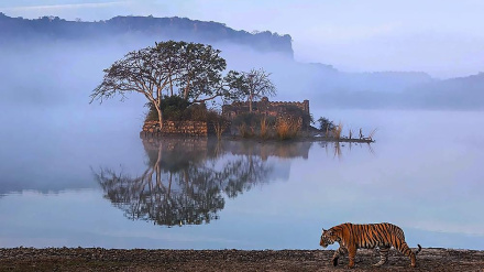 (FOTO) Meraviglie della natura