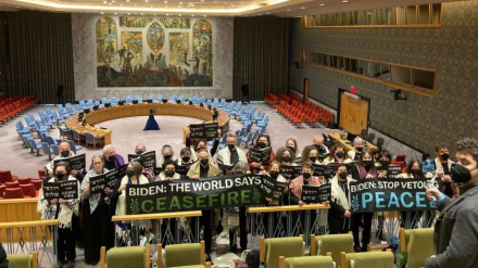Группа еврейских раввинов призвала к прекращению огня в Газе