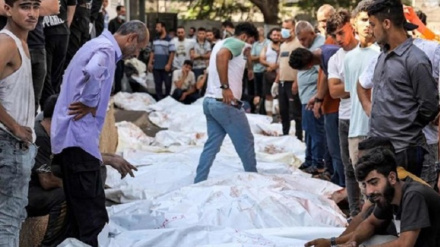 Bə Ğəzzə tanqə ələyh seonist rejimi 3 manq hucumi bəpeştə 23 həzo nəfərisə vey Fələstinıj şəhid bıən