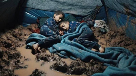 Vazhdojnë bombardimet barbare të shtëpive të banimit në Rripin e Gazës