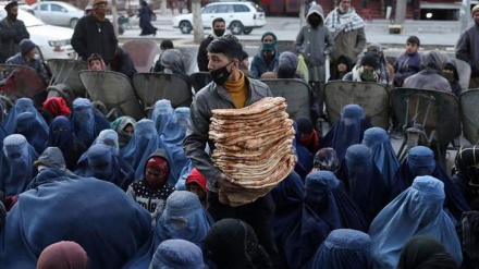 اوچا: افغانستان همچنان با نرخ بالای گرسنگی و سوءتغذیه مواجه است