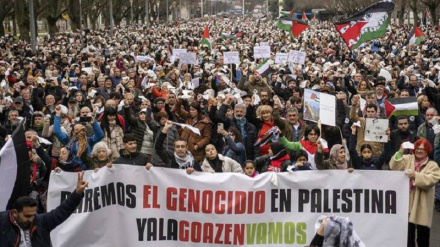 Поддержка испанцами беззащитного народа Палестины