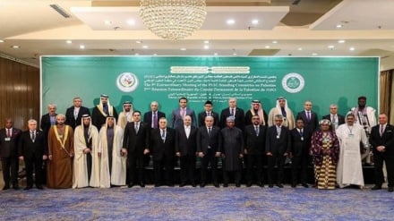 ישיבת החירום הפרלמנטרית של ועדת פלסטין קראה להפסיק לאלתר את רצח העם בעזה