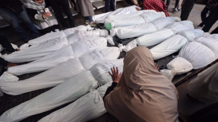 Gazans dying not only from bombs and bullets, but hunger, medical disaster: UN chief 