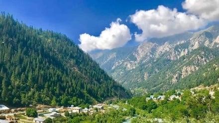د افغانستان د نورستان ولایت ځنګلونه او څړځایونه رغول کیږي نور جزیات دلته لرو