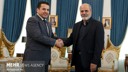 Беседа секретаря Высшего совета национальной безопасности Ирана и советника по национальной безопасности Ирака