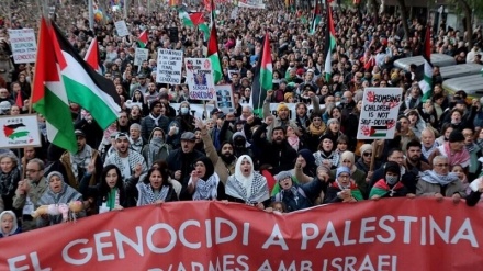 Palestina tarapdarlarynyň birnäçe Ýewropa ýurtlarynda protestleri