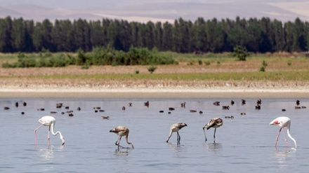 (FOTO DEL GIORNO) Zona Protetta di Arzhan e Parishan