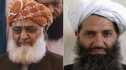 رهبر طالبان فضل الرحمان را به حضور نپذیرفت