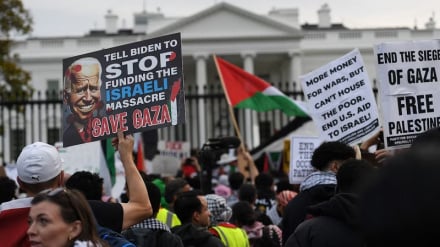 Продолжение международной поддержки палестинского народа