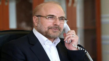 De Ğalibaf 6 qılə kişvəri parlamenti sədron telefoniyə təmasədə Kermani terroristiyə hodisə məhkumışon kardə