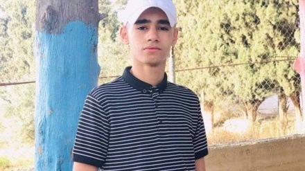 West Bank, 17enne palestinese ucciso in nuova incursione dell'esercito sionista