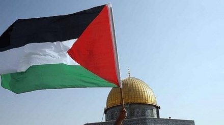 قاب غمگین فلسطین