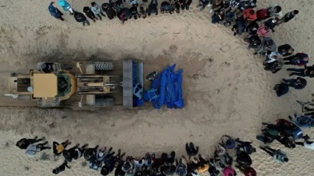 犹太复国主义者挖掘和盗窃巴勒斯坦丧生者的遗体