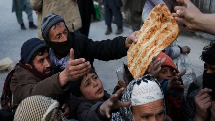 ۳۶ سلنه افغانان د خوراکي خوندیتوب له اړخه اندېښنه لري