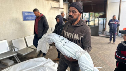 Martirizohen 28 palestinezë në sulmet e regjimit sionist në jug të Gazës