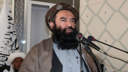 طالبان: میان افغانستان و پاکستان «مرز رسمی» وجود ندارد