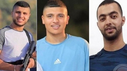 Иран осудил действия сионистского режима по убийству раненых палестинцев