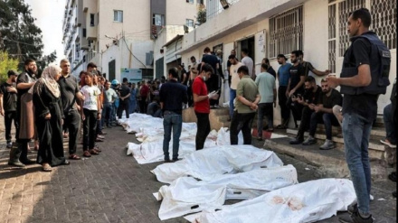 Американская молодежь считает преступления Израиля геноцидом