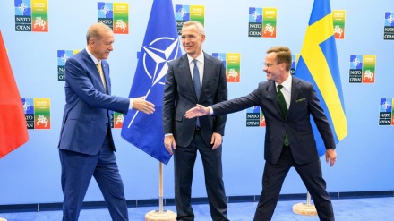 Türkei ratifiziert Schwedens Nato-Beitritt