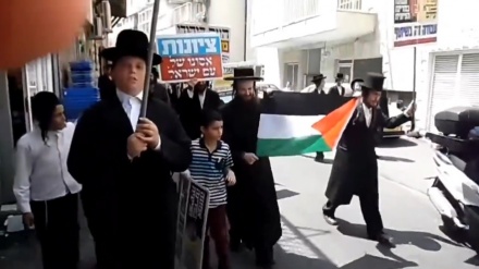 聖地で、ユダヤ教律法学者らがパレスチナ国旗を掲げ行進