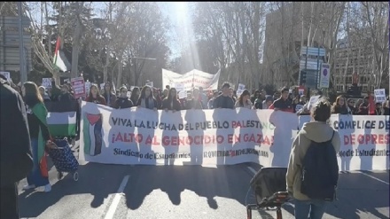 מדריד: 25 אלף השתתפו בצעדה להפסיק את רצח העם בעזה