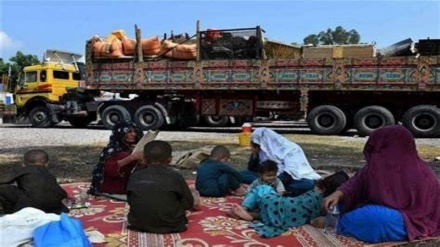 بازگشت بیش از ۴۰ هزار پناهجوی افغانستانی به کشور