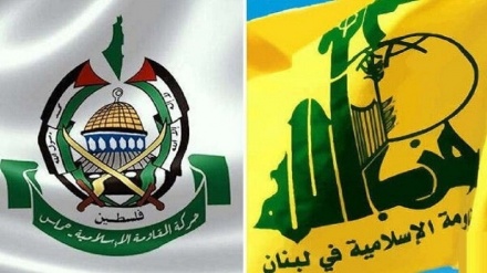 תנועות חיזבאללה וחמאס גינו את התוקפנות על תימן