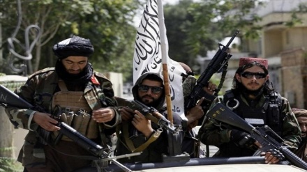 تلاش آمریکا برای خروج طالبان از فهرست گروه های تروریستی