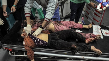 شمار شهدای غزه از 23 هزار نفر فراتر رفت