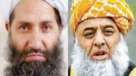 مولانا فضل الرحمن په افغانستان کې د نجونو پر زده کړو د بندیز ملاتړ وکړ