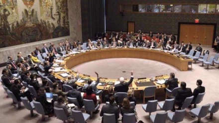 UNSC to meet to discuss ICJ ruling on Israeli genocide in Gaza