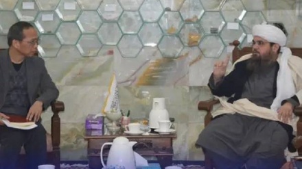 طالبان: استخراج نفت از آمودریا تا دو هزار تُن افزایش می‌یابد