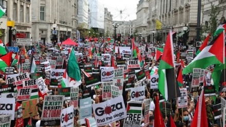 Продолжение массовых демонстраций сторонников Палестины по всему миру в начале нового года