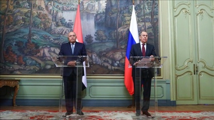 Lavrov na Shoukry wajadili hali ya Palestina pambizoni mwa mkutano wa G-20 