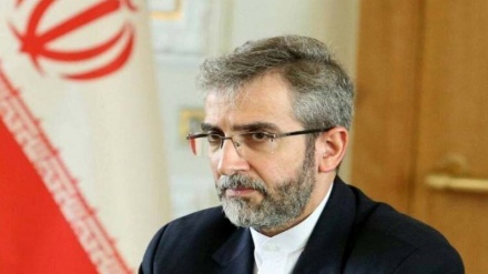 US-free region requires concerted action: Iranian diplomat