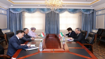 دیدار سفیر جمهوری اسلامی ایران در تاجیکستان با معاون جدید وزیر امور خارجه این کشور