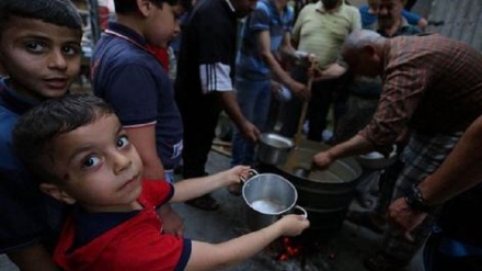 هشدار تلخ سازمان ملل متحد: در شمال غزه دیگر حتی خوراک دام هم وجود ندارد