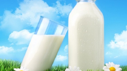 伊朗是世界第19牛奶生产国