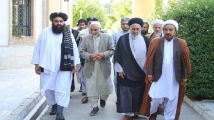 د افغانستان د شیعه علماوو شورا له خپلو غوښتنو شاتګ نه کوي جزیات دلته لرو