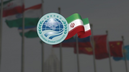 イランと上海協力機構の貿易量が4割増加