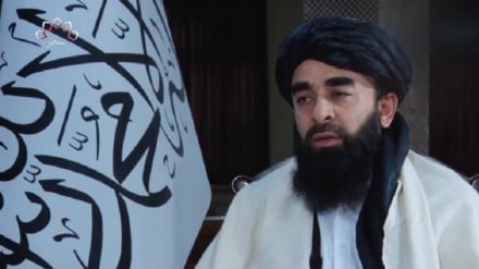 واکنش مجاهد به اچکزی: طرف ما اسلام آباد است، نه بلوچستان